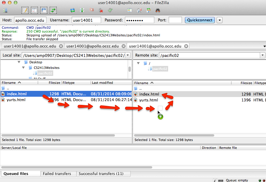 FileZilla Single File